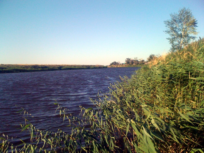 river river